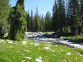 14-IMG_0393