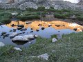 55-IMG_0356