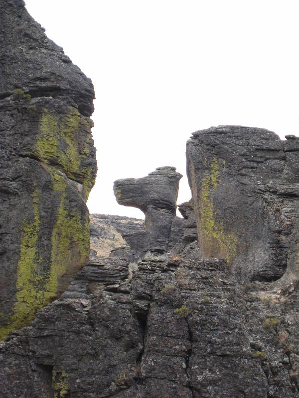IMG_4193.jpg - A Snoopy rock