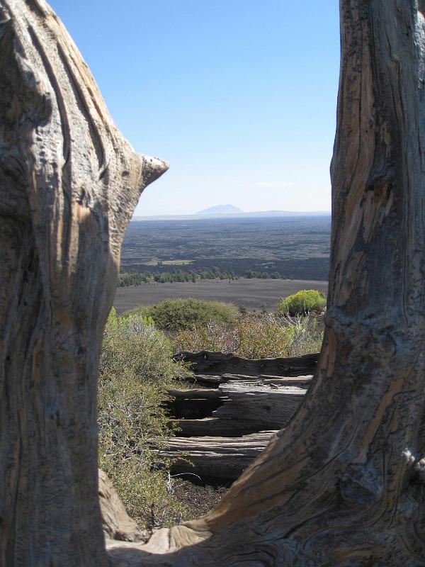 IMG_3595.jpg - Between dead trees on Inferno Cone