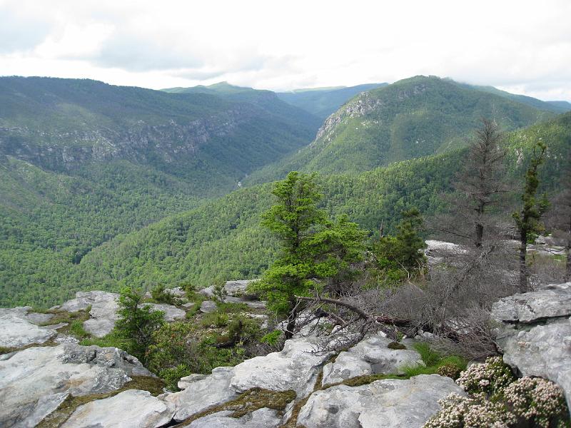 IMG_5982.jpg - Looking up Linville Gorge toward Table Mountain