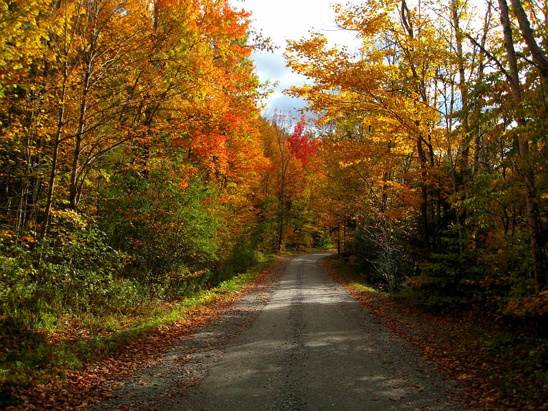 IMG_7236.jpg - A beautifully colored lane leaving the trail head for Mt Mansfield