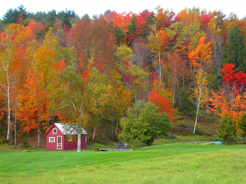 IMG_7244.jpg - A colorful scene near Mt Mansfield, Vermont