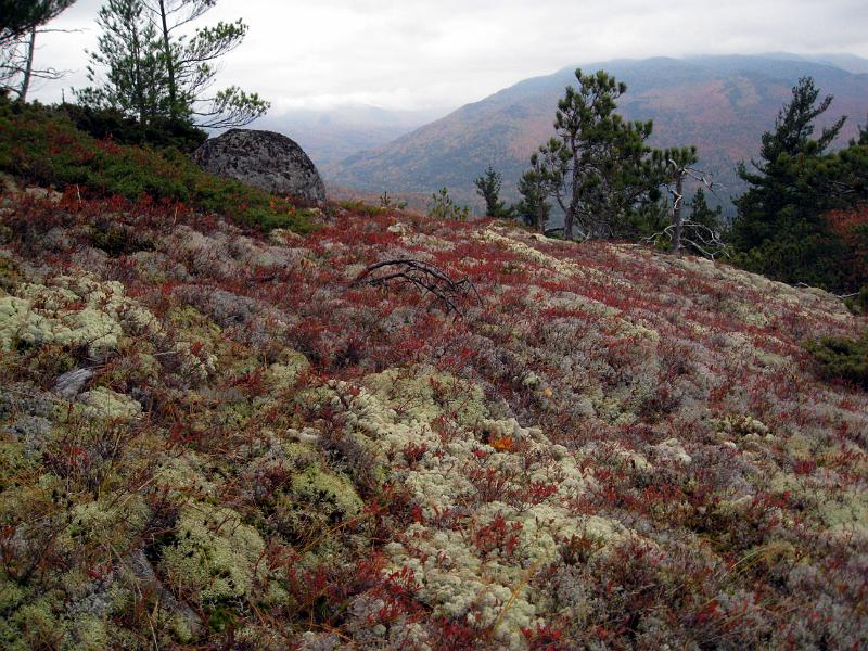 IMG_7396.jpg - Mount Catamount, NY
