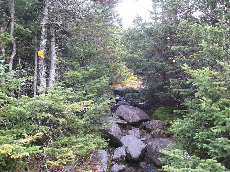 IMG_7452.jpg - The trail up to Mt Marcy.  Again, mostly a streambed until we got above the treeline.