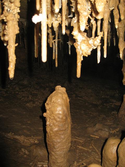 IMG_4591.jpg