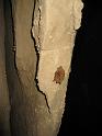 IMG_5686