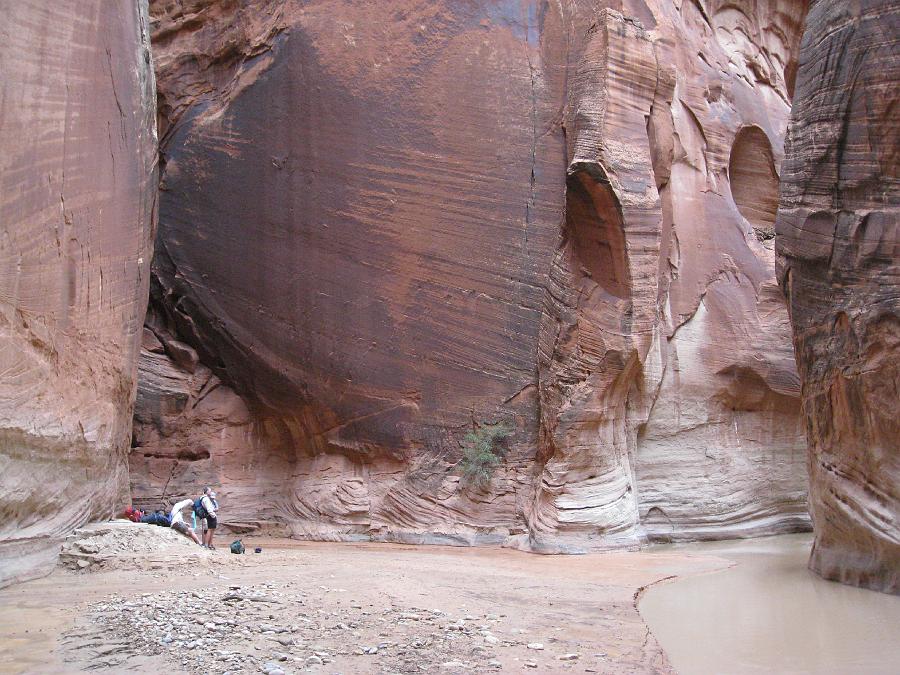 img_0915.jpg - Paria Canyon was big (and long)