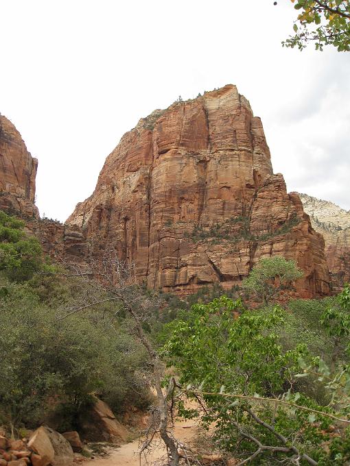 img_0999.jpg - Zion National Park - Angels Landing - This rock is 1000 feet high