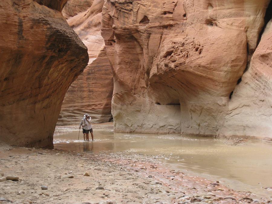 img_0882.jpg - Wading the stream in Paria Canyon